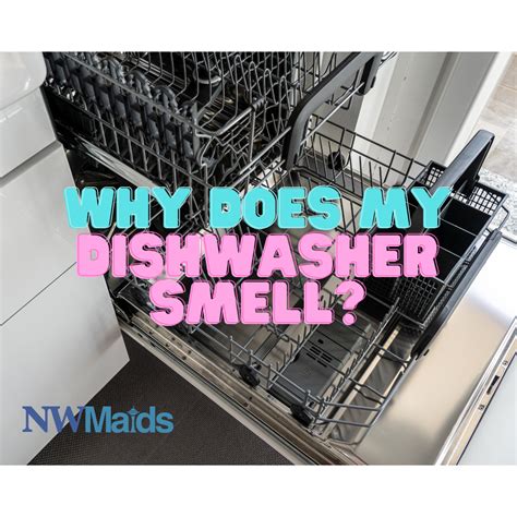 My dishwasher stinks. Things To Know About My dishwasher stinks. 